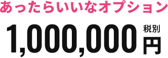 人気オプション  1,000,000円（税別）